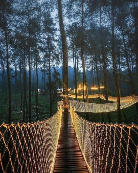 فيلا The Log Castle~Stunning Mountain Views~Hot Tub سيفيرفيل المظهر الخارجي الصورة
