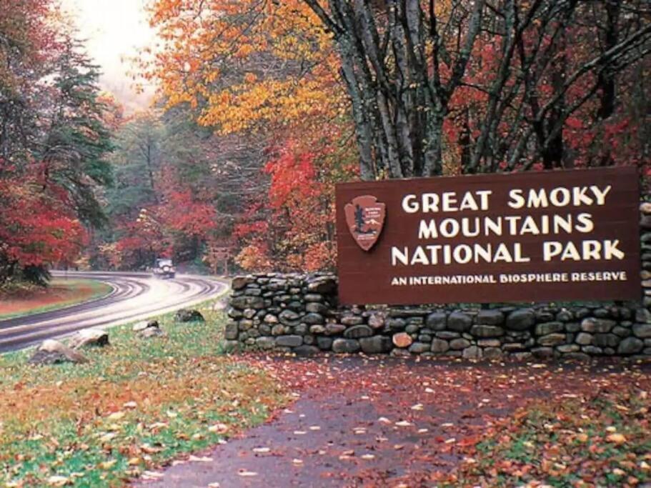 فيلا The Log Castle~Stunning Mountain Views~Hot Tub سيفيرفيل المظهر الخارجي الصورة